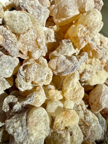 Red Royal Sacra Frankincense Yemen (Boswellia Sacra)